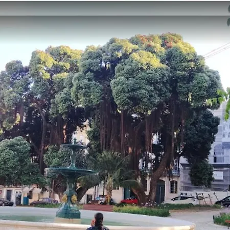 アパート Alegramente *